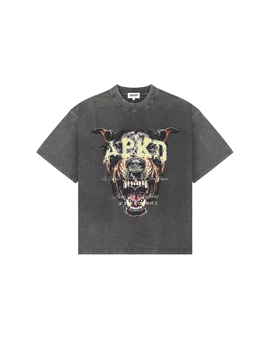 ASPIN GRAPIKO TEE (DARK GREY)
