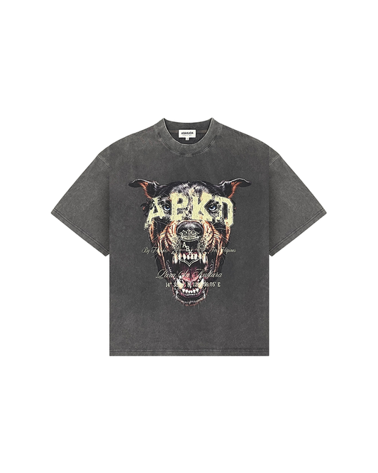 ASPIN GRAPIKO TEE (DARK GREY)