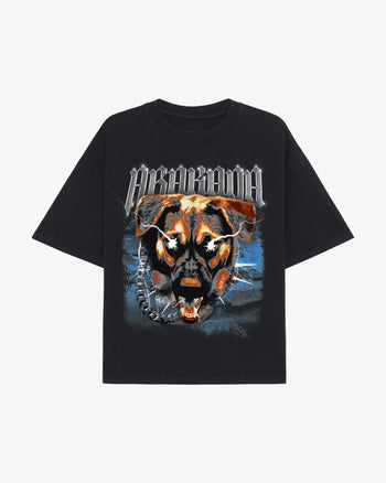 GRAPIKO ASPIN TEE (WASHED BLACK)